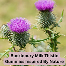 Load image into Gallery viewer, Bucklebury Sugar Free Milk Thistle Gummies