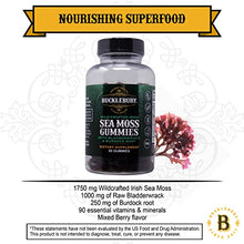 Load image into Gallery viewer, Bucklebury Wildcrafted Irish Sea Moss Gummies 60 Count